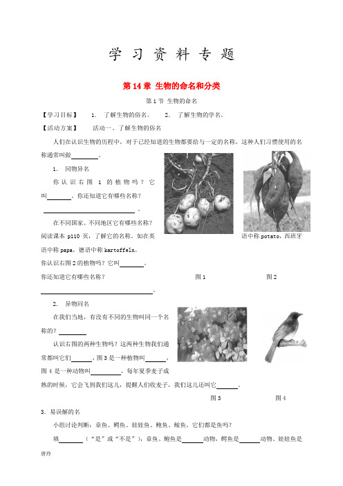 2019七年级生物下册 第14章 生物的命名和分类导学案(无答案)苏科版