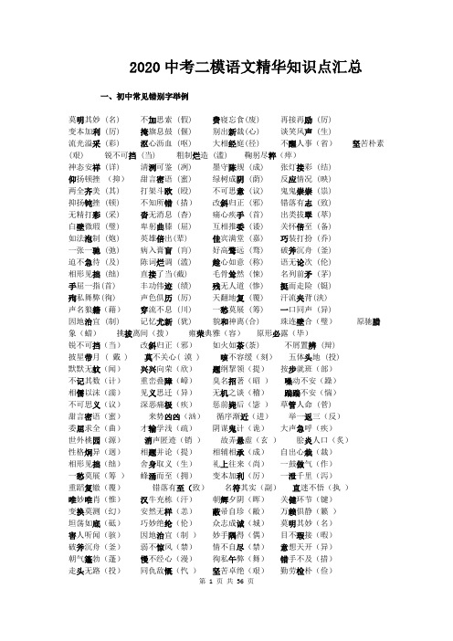 2020中考二模语文精华知识点汇总