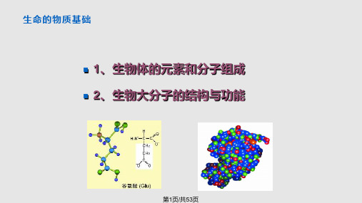 生物化学基础PPT课件