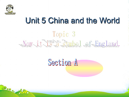 仁爱版九年级英语下册U5T3SA课件