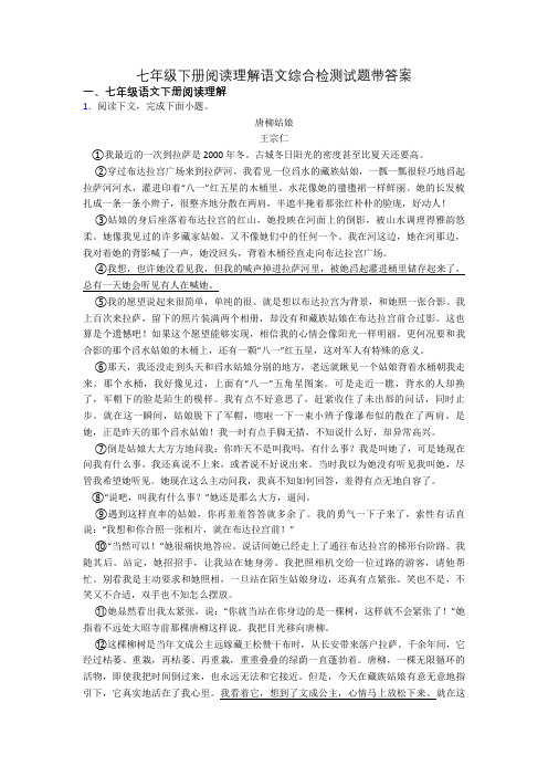 七年级下册阅读理解语文综合检测试题带答案