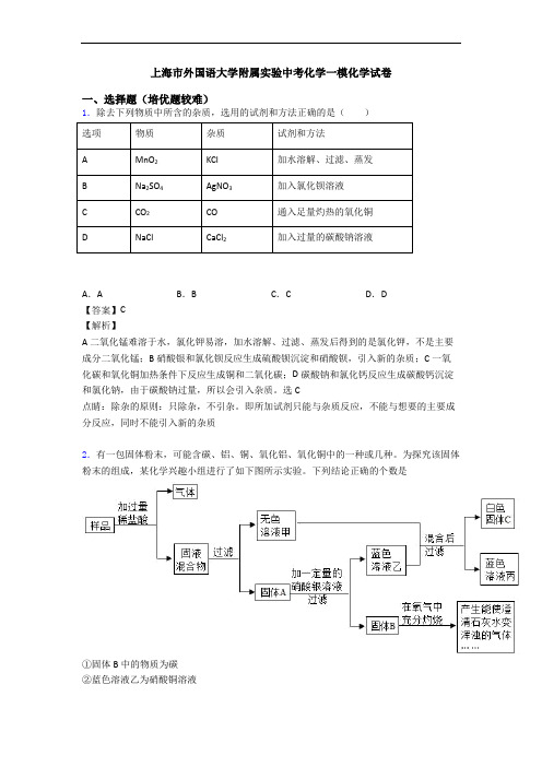 上海市外国语大学附属实验中考化学一模化学试卷