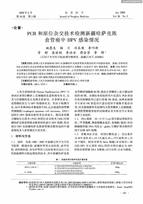 PCR和原位杂交技术检测新疆哈萨克族食管癌中HPV感染情况