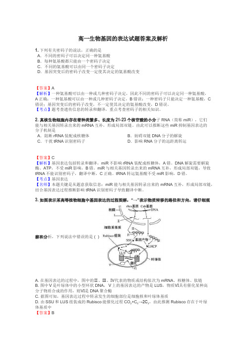 高一生物基因的表达试题答案及解析
