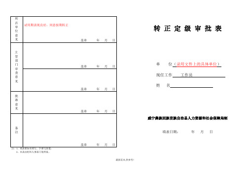 转正定级表(模板)