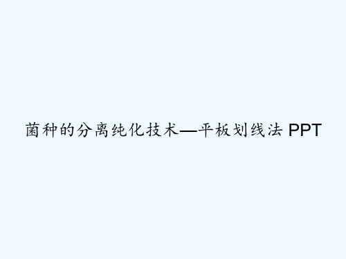 菌种的分离纯化技术—平板划线法 PPT