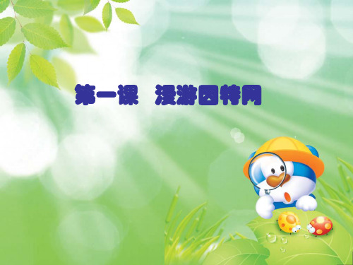漫游因特网学习教材PPT课件