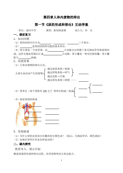 尿的形成和排出学案