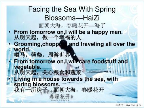 Facing the Sea With Spring Blossoms—HaiZi