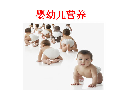 婴幼儿营养