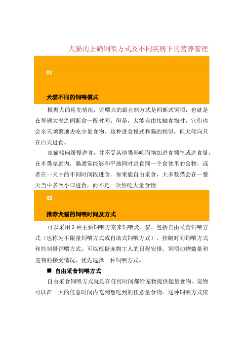 犬猫的正确饲喂方式及不同疾病下的营养管理