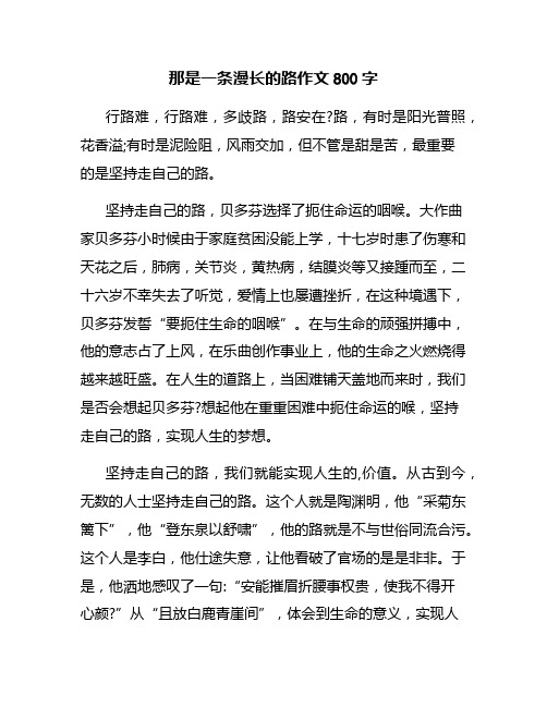 那是一条漫长的路作文800字