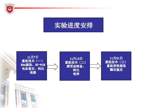 分子生物学研究生分生实验(全部3次试验)1月10日课件