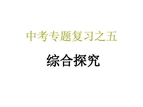 中考语文综合探究专题复习用