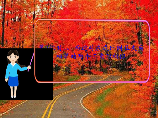 九年级数学上册第四章图形的相似4探索三角形相似的条件第2课时两边成比例且夹角相等的两个三角形相似1