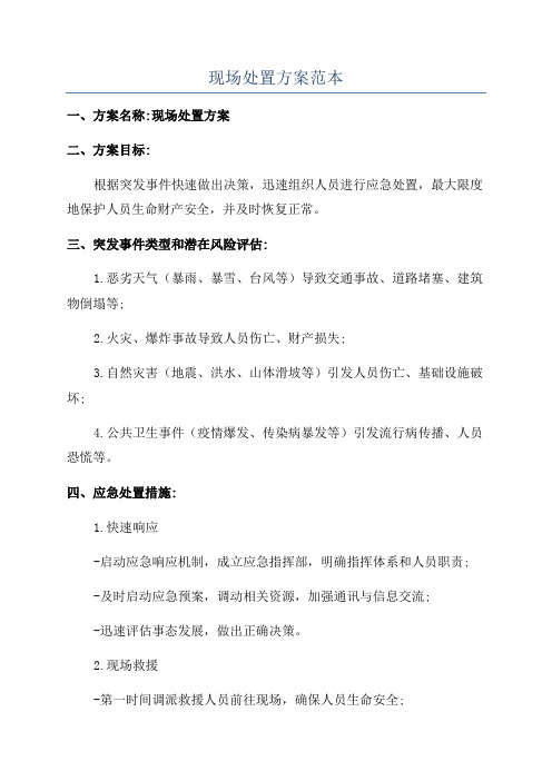 现场处置方案范本