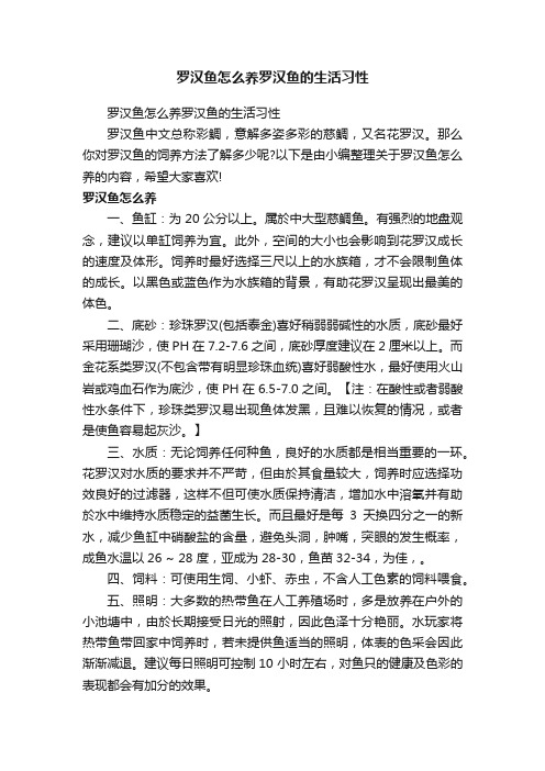 罗汉鱼怎么养罗汉鱼的生活习性