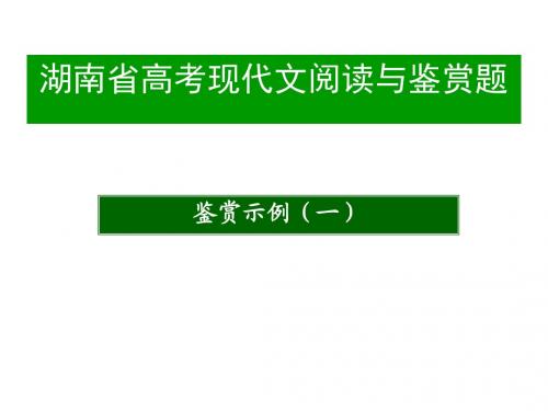 湖南省高考现代文阅读与鉴赏题课件