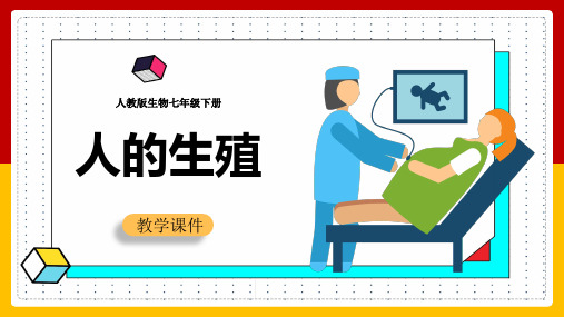 初中生物人教版七年级下册《第四单元第一章第二节人的生殖》课件