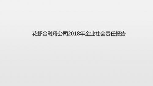 花虾金融母公司2018年企业社会责任报告