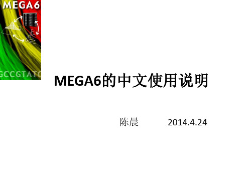 Mega6中文使用说明