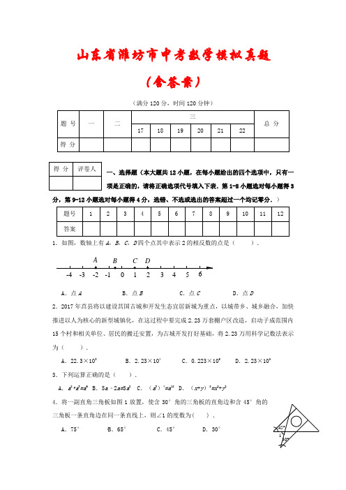 【2021】山东省潍坊市中考数学模拟测试题(含答案)