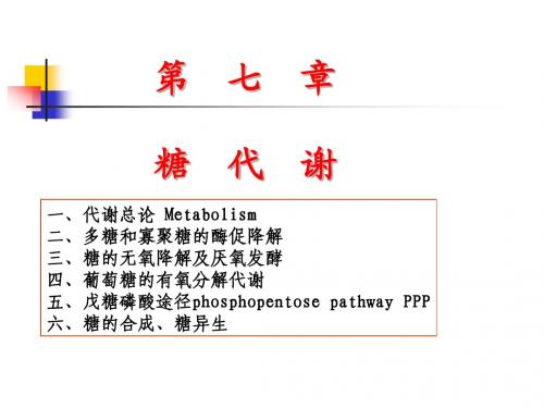 生化课件(华中师大) 生化7第七章糖代谢