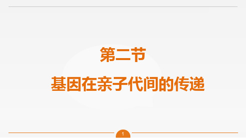 人教版八年级生物下册 7.2.2 基因在亲子代间的传递