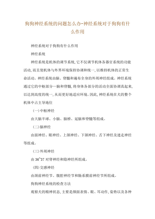 狗狗神经系统的问题怎么办-神经系统对于狗狗有什么作用