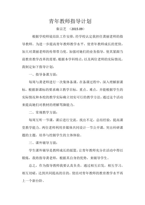 青年教师指导计划