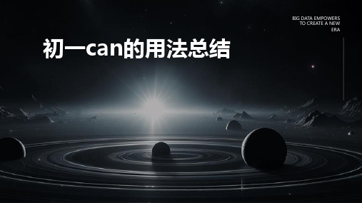 初一can的用法总结