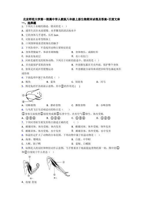 北京师范大学第一附属中学人教版八年级上册生物期末试卷及答案-百度文库