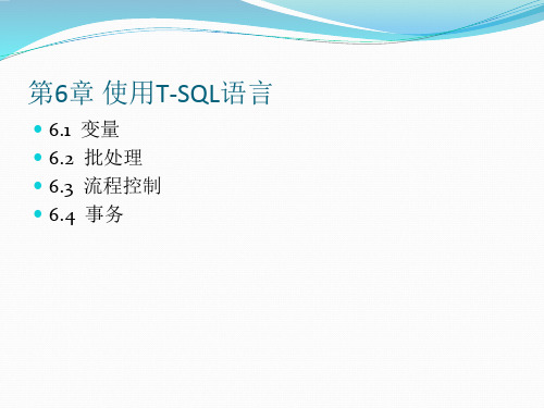 第6章 使用T-SQL语言
