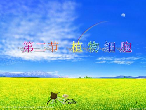 人教版七年级初一上册生物《观察植物细胞》 ppt课件