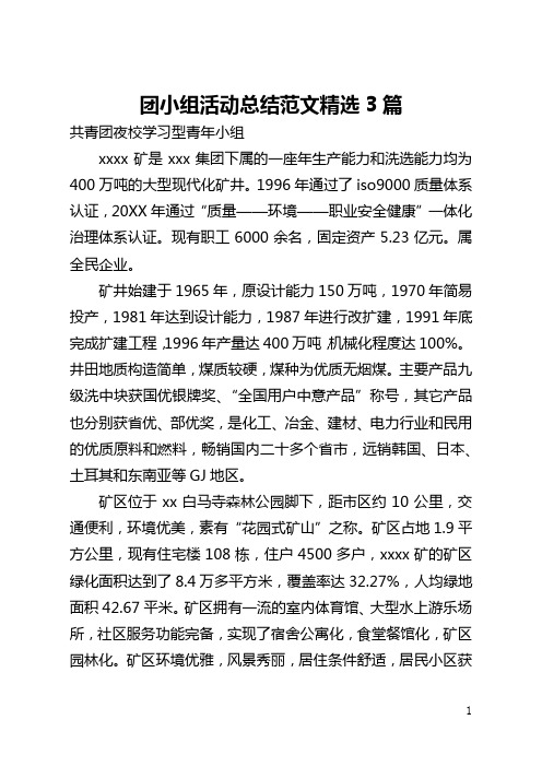 团小组活动总结范文精选3篇(全文)