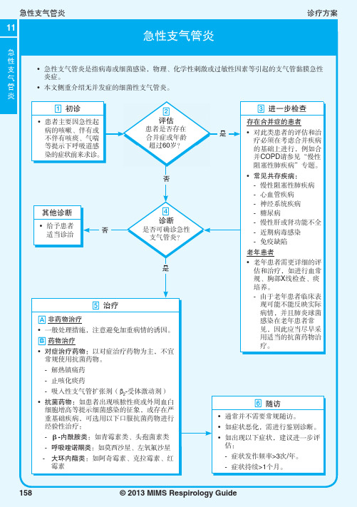 2013MIMS呼吸系统疾病指南-11-急性支气管炎