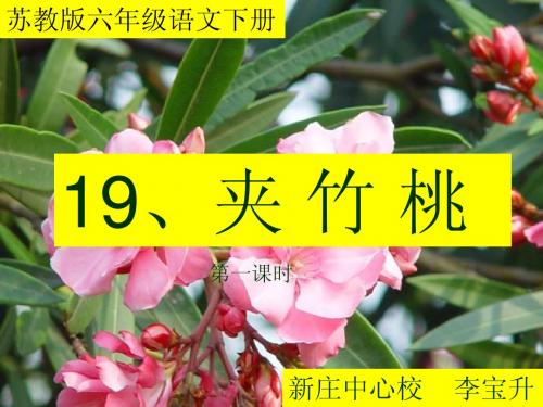 苏教版六年级语文下册19、《夹竹桃》