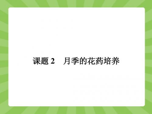 高中生物选修1(人教)【课件】：3-2+月季的花药培养