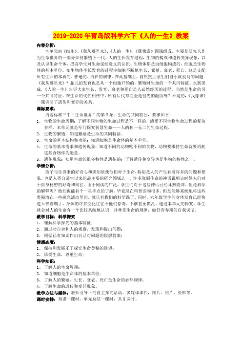 2019-2020年青岛版科学六下《人的一生》教案