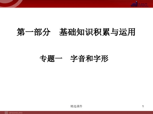 中考语文字音和字形专题复习PPT演示课件.ppt