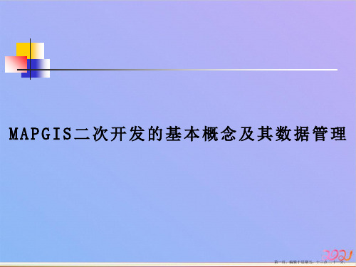 MAPGIS的基本概念和体系结构ppt课件