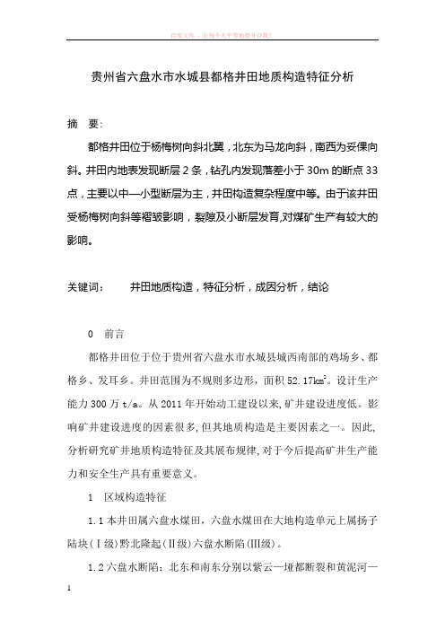 贵州省六盘水市水城县都格井田地质构造特征分析 (1)