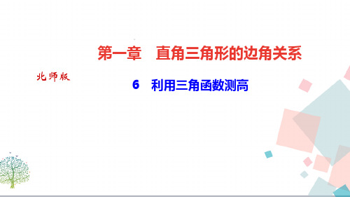 【优质】初三九年数学:《利用三角函数测高》ppt课件