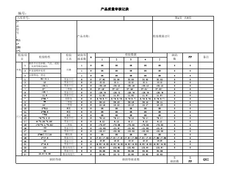 产品质量审核记录