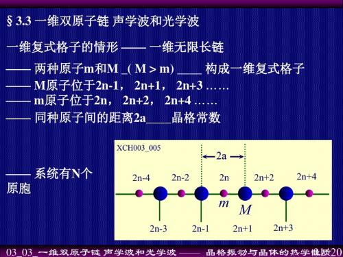 声学波和光学波