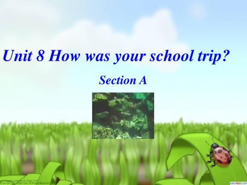 人教版初二八年级英语上册 Unit 8 How was your school trip  PPT课件