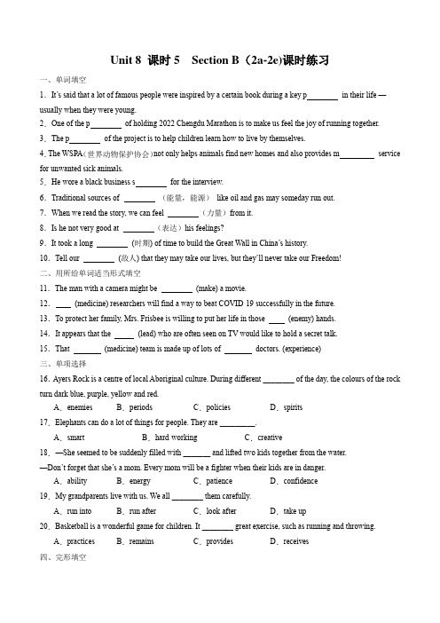 Unit 8  课时5 Section B(2a-2e)课时练习(含解析)九年级英语全册(人教版)