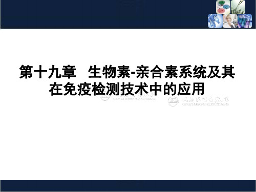 临床免疫学检验-课件-第19章 生物素-亲合素系统及其在免疫检测技术中的应用