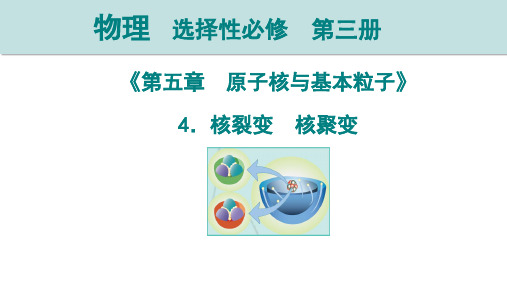 5.4核裂变核聚变课件-高二下学期物理教科版选择性