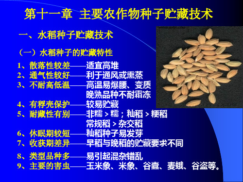 11.3.30 第十一章 主要种子贮藏技术